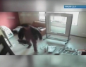 Momentul in care un hot FURA geanta unei femei si se face nevazut! Acum este cautat de politie