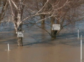 Vremea rea face ravagii in Ungaria. Dupa zapada si viscol se anunta inundatii masive