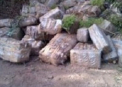 900 de kilograme de marijuana, in valoare de 4 milioane de dolari, gasite pe o plaja din L.A.