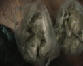 Incercau sa vanda doua kilograme de marijuana. Doi tineri din Hancesti, retinuti in flagrant