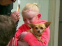 Fetita de 8 ani din Canada, salvata de atacul unui pitbull de catelusa ei chihuahua