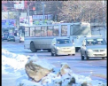 La Balti se scumpesc biletele de microbuz si troleibuz! Cat vor costa incepand cu 10 aprilie