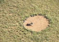 Cum s-au format "cercurile zanelor" din Africa. Un om de stiinta spune ca a rezolvat misterul