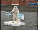 Un urs polar si-a facut aparitia pe o bucata de gheata, pe raul Moscova