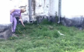 Priveliste de groaza in curtea unui spital din Gorj. Ce s-a intamplat cu un bebelus aruncat acolo
