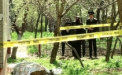 O femeie a cazut in gol de la etajul 7! Politistii nu exclud versiunea unui suicid