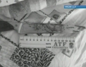 Crima ingrozitoare in capitala. Motivul pentru care un tanar l-a omorat cu sange rece pe tatal sau