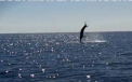 Credea ca tocmai a prins un peste de 270 de kilograme, insa a avut parte de o surpriza uriasa. VIDEO