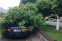 S-a trezit cu un copac peste el! Ce ghinion a avut soferul unui Mercedes parcat in sectorul Rascani!