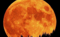 Super-Luna. Satelitul natural al Terrei se va apropia de noi tot mai mult, in urmatorii ani