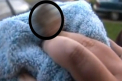 Sa vezi si sa nu crezi: O pisica a nascut un pui cu doua CAPETE - VIDEO
