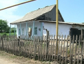 A avut o moarte cumplita. Cum a fost gasita o batrana din Anenii Noi: Suspectul e bolnav psihic