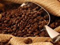Milionari din cafea. Cum a luat nastere unul dintre cele mai cunoscute randuri din domeniu 