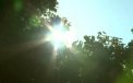 Record de temperatura maxima in ultimii 100 de ani, inregistrat la Moscova