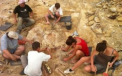 "Era cea mai urata creatura care a trait vreodata pe Pamant". Cum arata acest animal