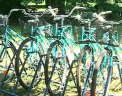 Mai multi oameni au profitat de vreme frumoasa si au iesit la o plimbare cu bicicleta
