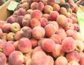 Grindina din luna iunie a facut pagube: Fructele si legumele la preturi mici aduc pierderi producatorilor