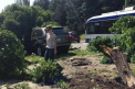 O soferita a facut prapad pe bulevardul Dacia! A spulberat doi copaci la volanul unui BMW