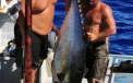 Pescuise un ton de peste 100 de kg si se lauda cu captura lui. Ce a urmat dupa aceasta fotografie