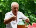 Au sfintit fructe si au mancat castraveti cu miere. Cum au sarbatorit Sfantul Ilie localnicii din Bulboaca