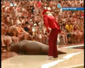 Sa vezi si sa nu crezi. O morsa danseaza pe ritmurile pieselor lui Michael Jackson