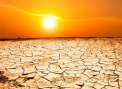 Ne asteapta o saptamana de foc. Temperaturile alarmante prognozate de meteorologi