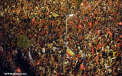 40.000 de manifestanti au cerut demisia guvernului in Tunisia: "Poporul vrea inlaturarea regimului"