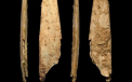 Oamenii de Neanderthal au inventat primele unelte specializate din Europa, acum 50.000 de ani