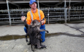 "Dumnezeu ne-a facut o farsa". Ce a nascut o vaca, intr-o ferma din Noua Zeelanda