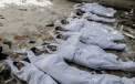 Medici fara frontiere, despre armele chimice din Siria: "Am tratat 3.600 de victime. 355 au murit"