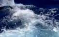 Au fost la un pas de moarte, cand au incercat sa scoata din apa captura lor impresionanta. VIDEO