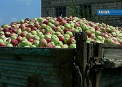 Cateva tone de fructe din Moldova, oprite in vama ruseasca: "Contin pesticide si nitrati peste nivel"