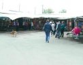 Comerciantii din Piata de la Ciocana, la protest: "Bataie de joc, nu mai suportam atatea controale"
