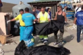 Zi de doliu in Italia in memoria imigrantilor africani care s-au inecat in largul insulei Lampedusa
