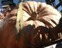 Americanii, gata de Halloween. Cum arata cel mai mare bostan din tara, introdus in cartea recordurilor