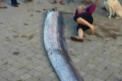 Cativa pescari din California au prins pentru prima data un peste urias. Vezi cum arata