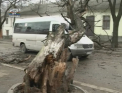 Vantul a provocat din nou pagube in capitala