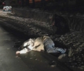 Un barbat a murit pentru ca a traversat strada prin loc nepermis