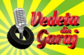 Pro Fm lanseaza un nou concurs de karaoke "Vedeta din Garaj". Vezi cum poti castiga 10 mii de lei