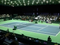 Orice, doar ca sa invinga. Cum se pregateste Federatia de tenis pentru duelul cu Belarusul