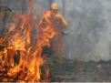Incendiile de vegetatie se extind in toata tara. Cele mai afectate raioane