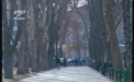 Primele zile ale lunii noiembrie au fost cele mai calde din ultimii 100 de ani