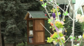 Prima biblioteca stradala si fara bibliotecar, inaugurata la Chisinau. Cat crezi ca va ramane deschisa