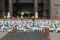 Peste 1600 de ursi Panda, pe aeroportul din Hong Kong: "Vreau sa conservam animalele pe cale de disparitie"