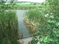 Proprietarul iazurilor din cauza carora lacul Ghidighici s-ar fi inamolit, SANCTIONAT. Ce amenda a primit