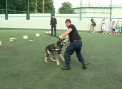 Au jucat tenis de camp, avand parte de multe surprize. Zeci de copii au avut parte de o sarbatoare