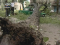 Bilantul ploilor din ultimele zile in Chisinau: Alunecari de teren si zeci de arbori doborati la pamant