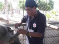 Razboi in Fasia Gaza. Dupa oameni si sute de animale au murit dupa ce o gradina Zoo a fost bombardata