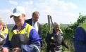 Putini, dar buni. A inceput culesul strugurilor, iar muncitorii sunt sceptici: Munca este amara si zadarnica