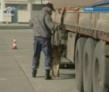 Mai putine bariere - serviciul vamal a lansat coridorul albastru. VEZI AICI despre ce este vorba
